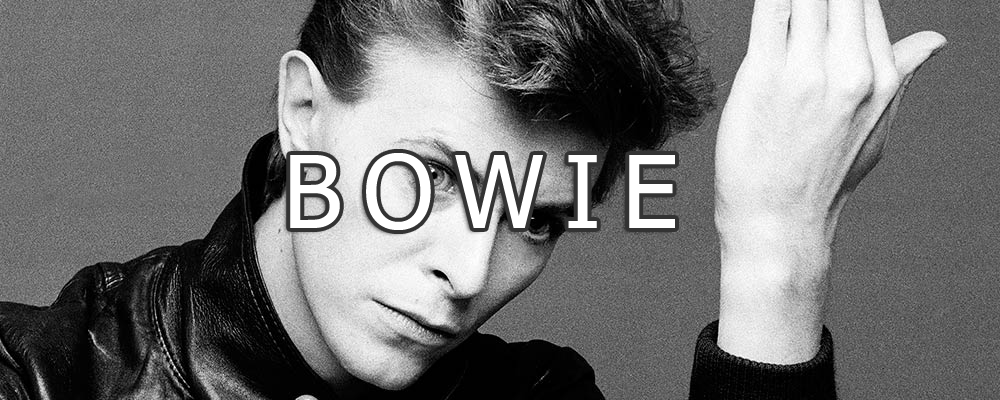 David Bowie Vinyl LPs